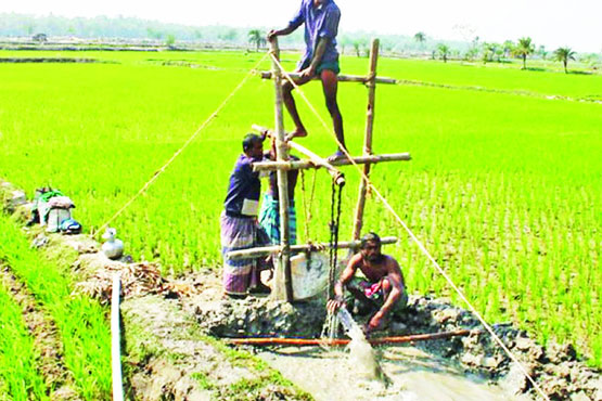 BD needs climate-resilient farming for food security