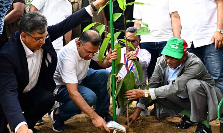 PM launches programme to plant 25 crore trees nationwide