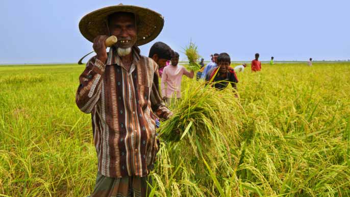 Tk60,000cr Farm Loan Target Set for FY27