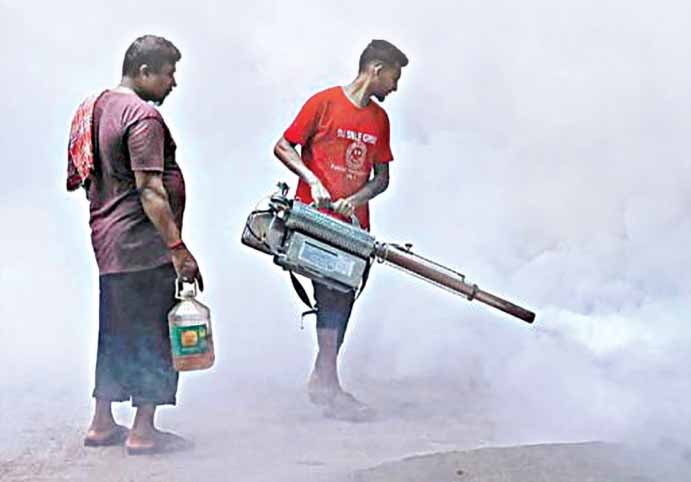 Dengue Claims 52 Lives in 12 Days