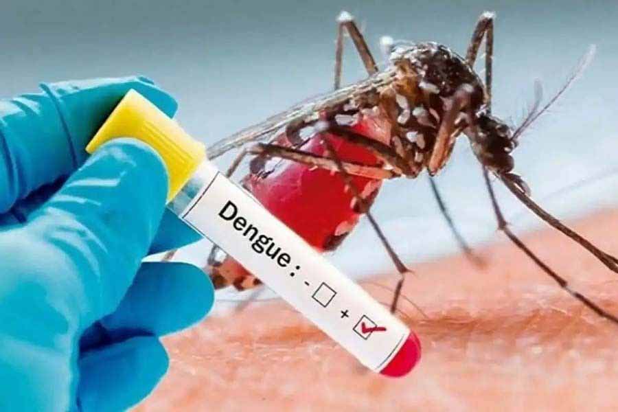 Dengue claims 9 more lives in 24 hours